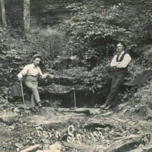 FERN SPRING - EUREKA!